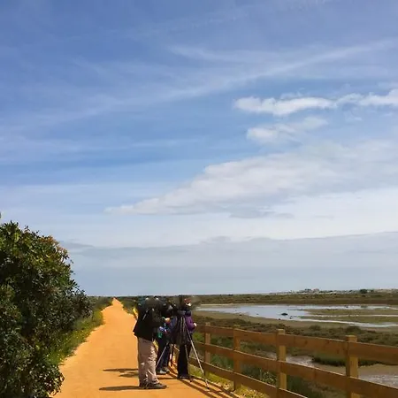 Blue&greens Apartman